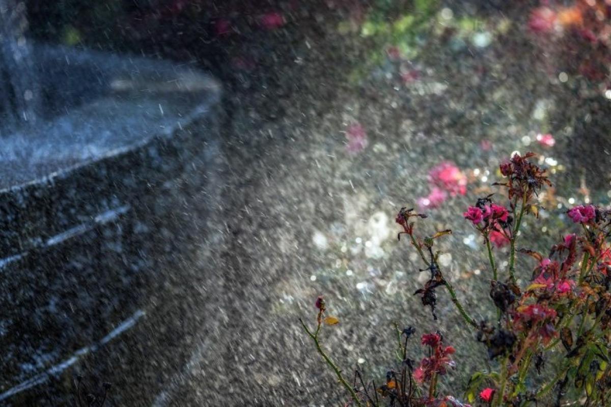 Атмосферный фронт принесет в Украину дожди с грозами: где ждать осадков Атмосферный фронт принесет в Украину дожди с грозами: где ждать осадков