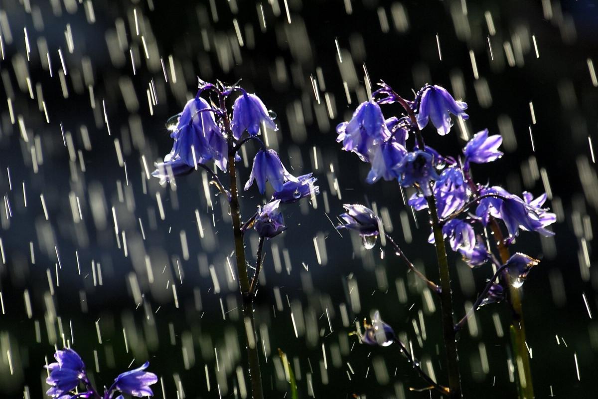 Украину накроют дожди с грозами, градом и сильным ветром