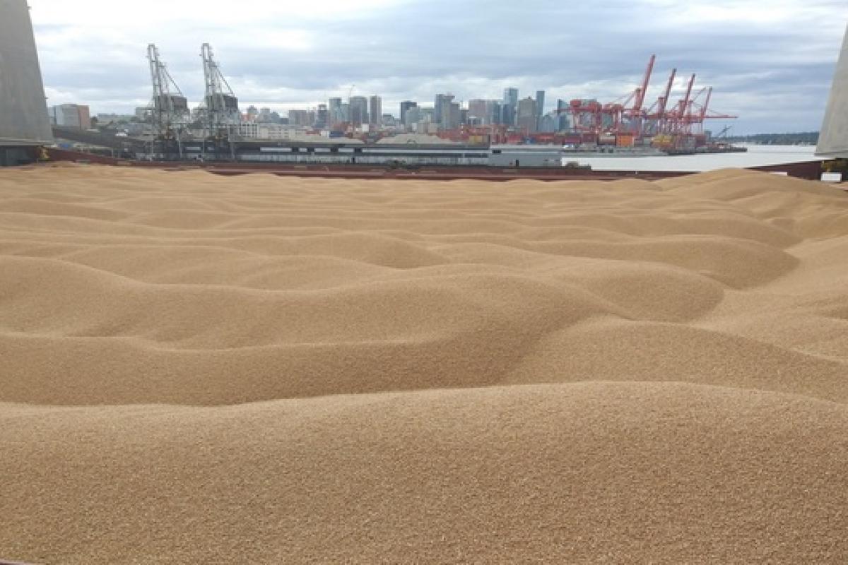 Україна продовжить підготовку до експорту зерна морем, - Кубраков