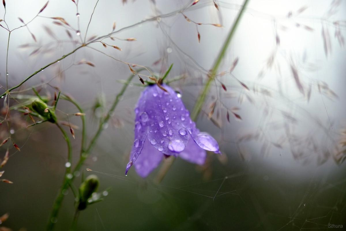 В Україну прийде похолодання: де чекати на дощі з грозами В Україну прийде похолодання: де чекати на дощі з грозами