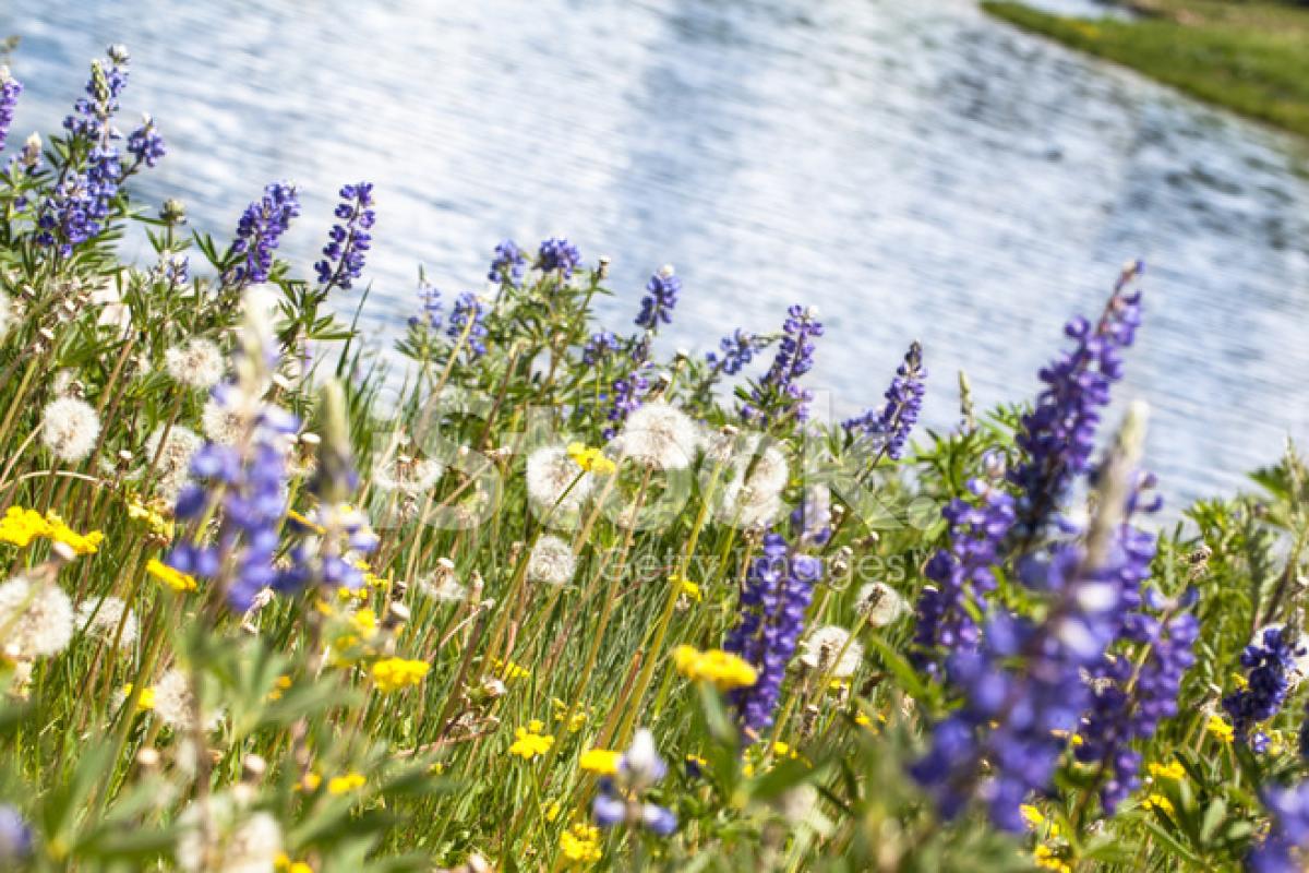 Синоптик предупредила о странном явлении, но пугаться не стоит Синоптик предупредила о странном явлении, но пугаться не стоит