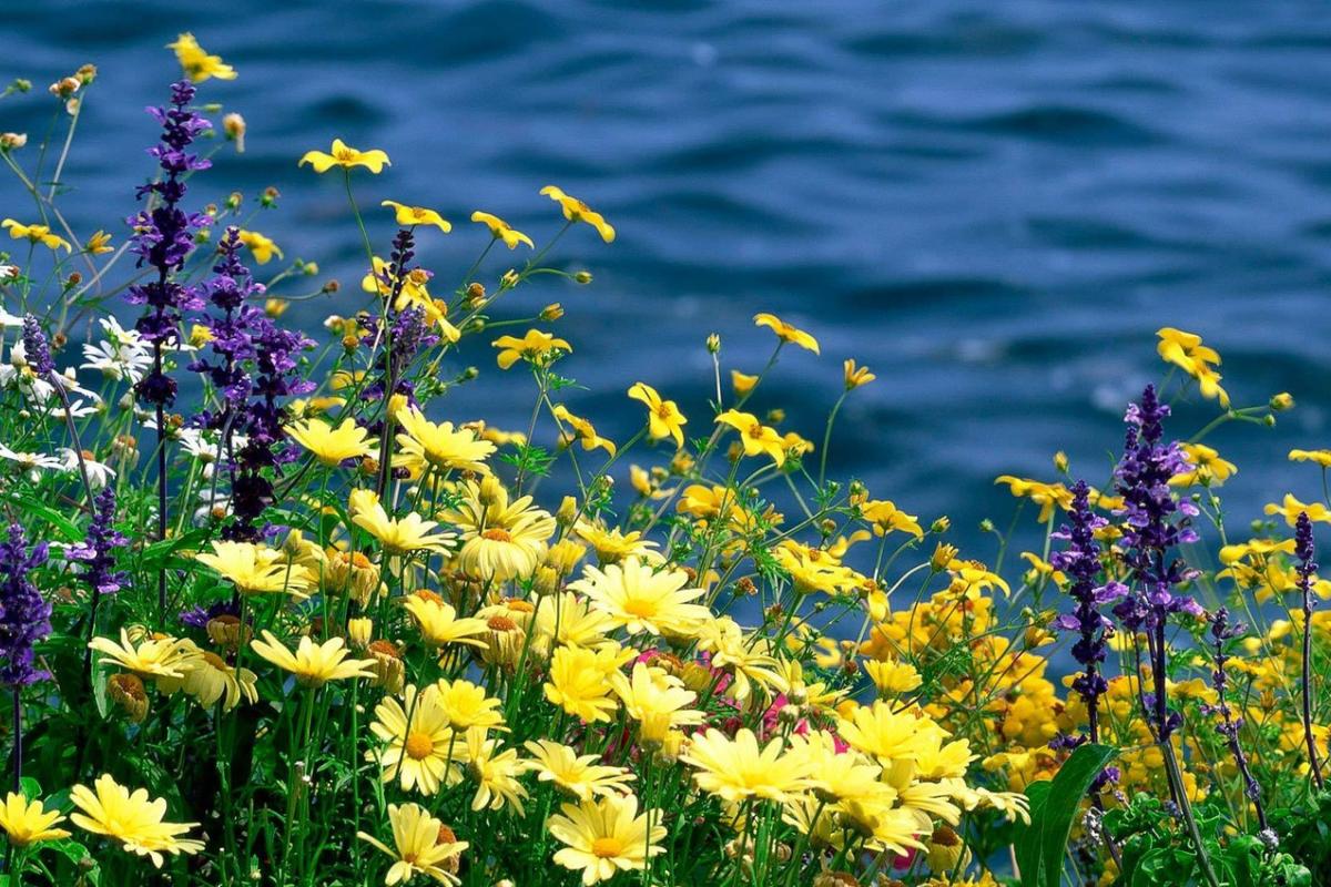 Синоптик рассказала, какой будет погода в Украине в субботу Синоптик рассказала, какой будет погода в Украине в субботу