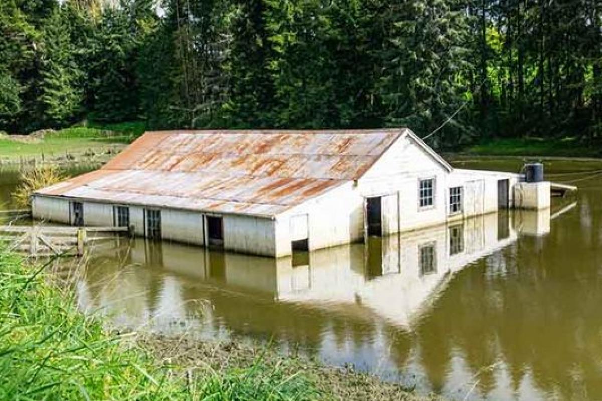 У Новій Зеландії - потоп: десятки будинків під водою, люди евакуюються У Новій Зеландії - потоп: десятки будинків під водою, люди евакуюються