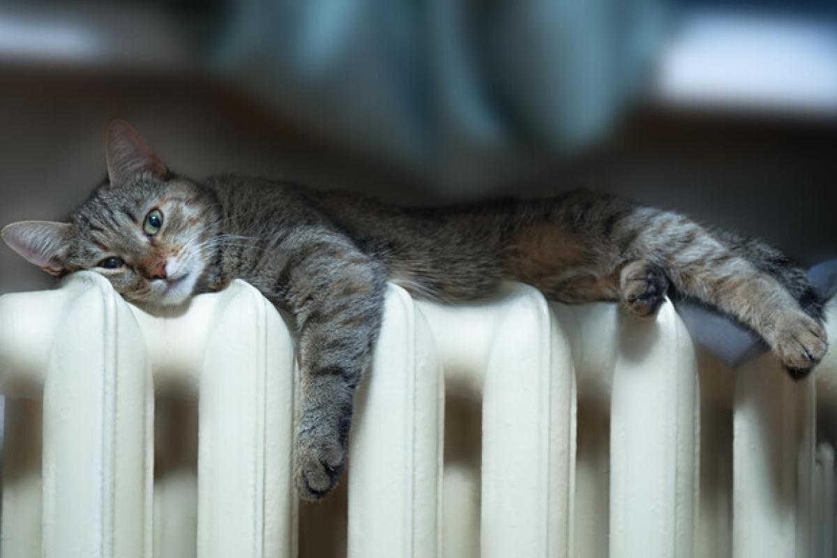 До опалювального сезону Україна готова на 60% До опалювального сезону Україна готова на 60%