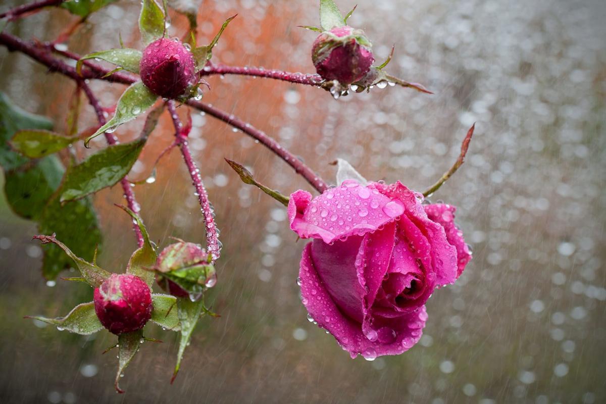 В ряде регионов погода испортится: где ждать ливней, гроз и шквалов