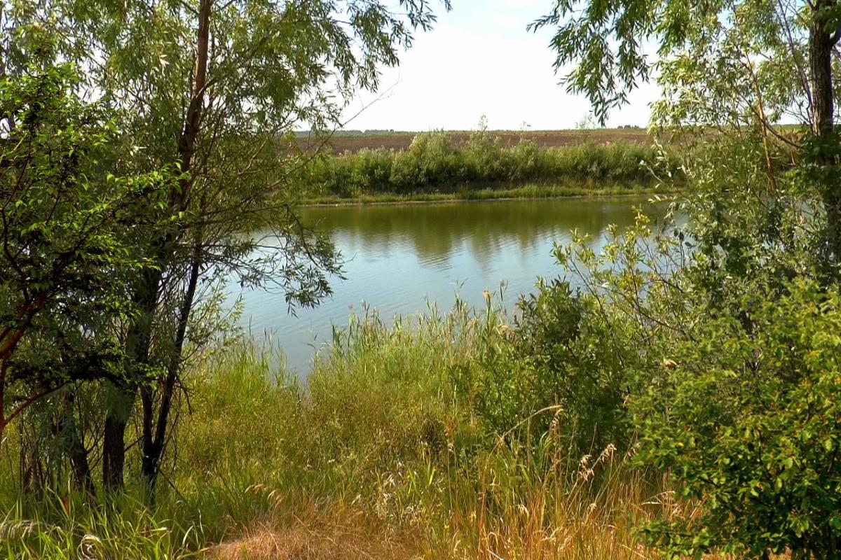 Синоптик розповіла про погоду в останній день літа в Україні Синоптик розповіла про погоду в останній день літа в Україні