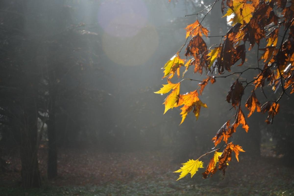 Украину снова накроет жара, но с дождями