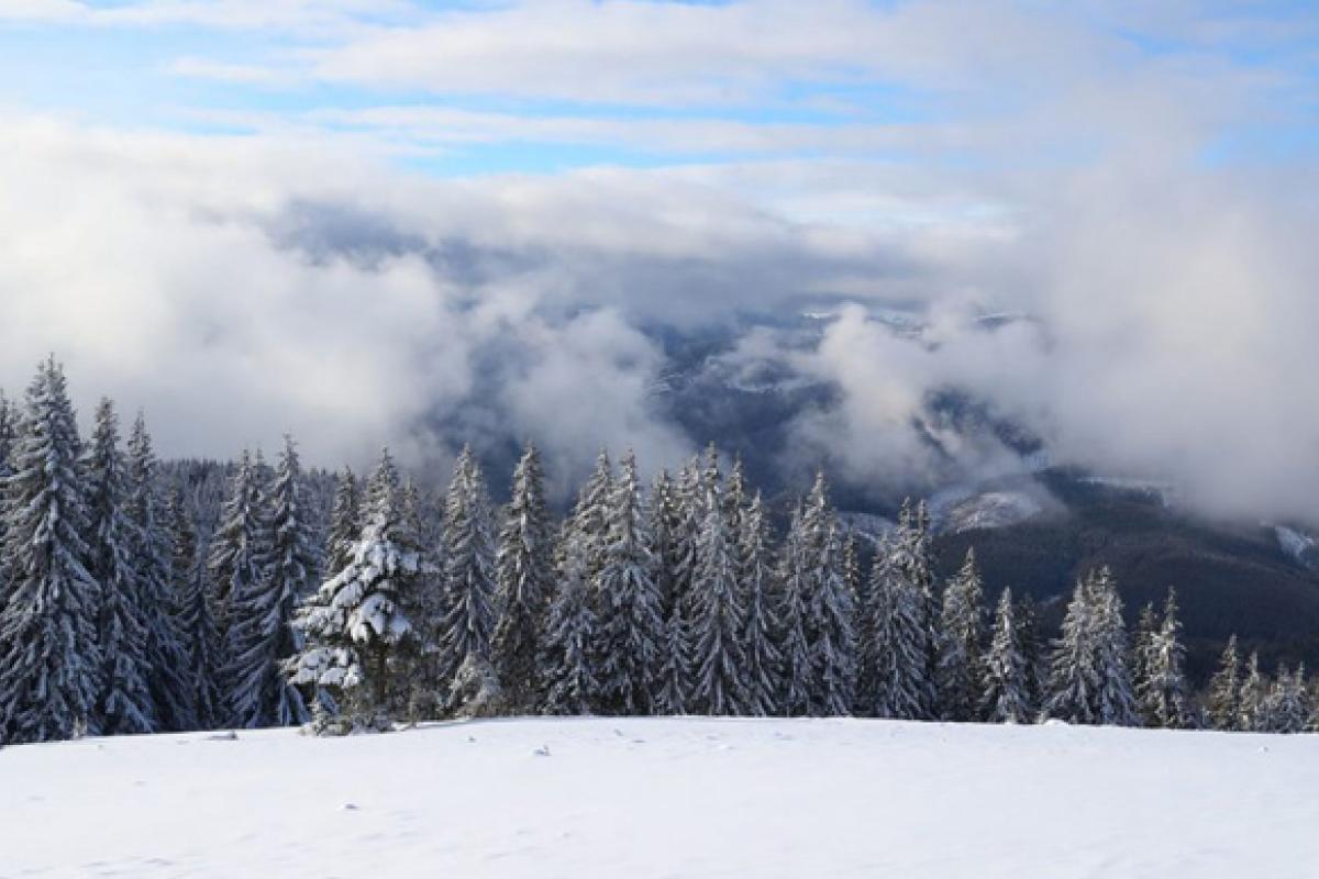 В украинских Карпатах лютует зима, намело до 80 см снега В украинских Карпатах лютует зима, намело до 80 см снега