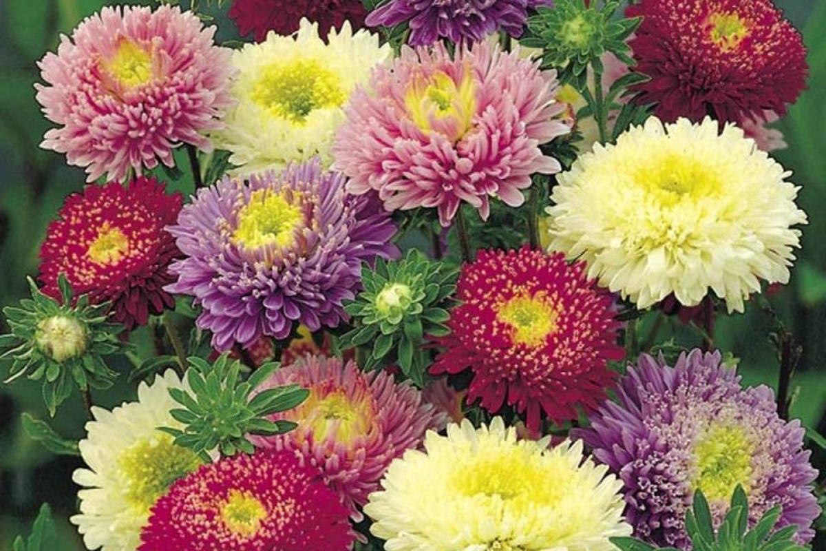 В Україну прийшло відчутне похолодання: очікується до +6 градусів