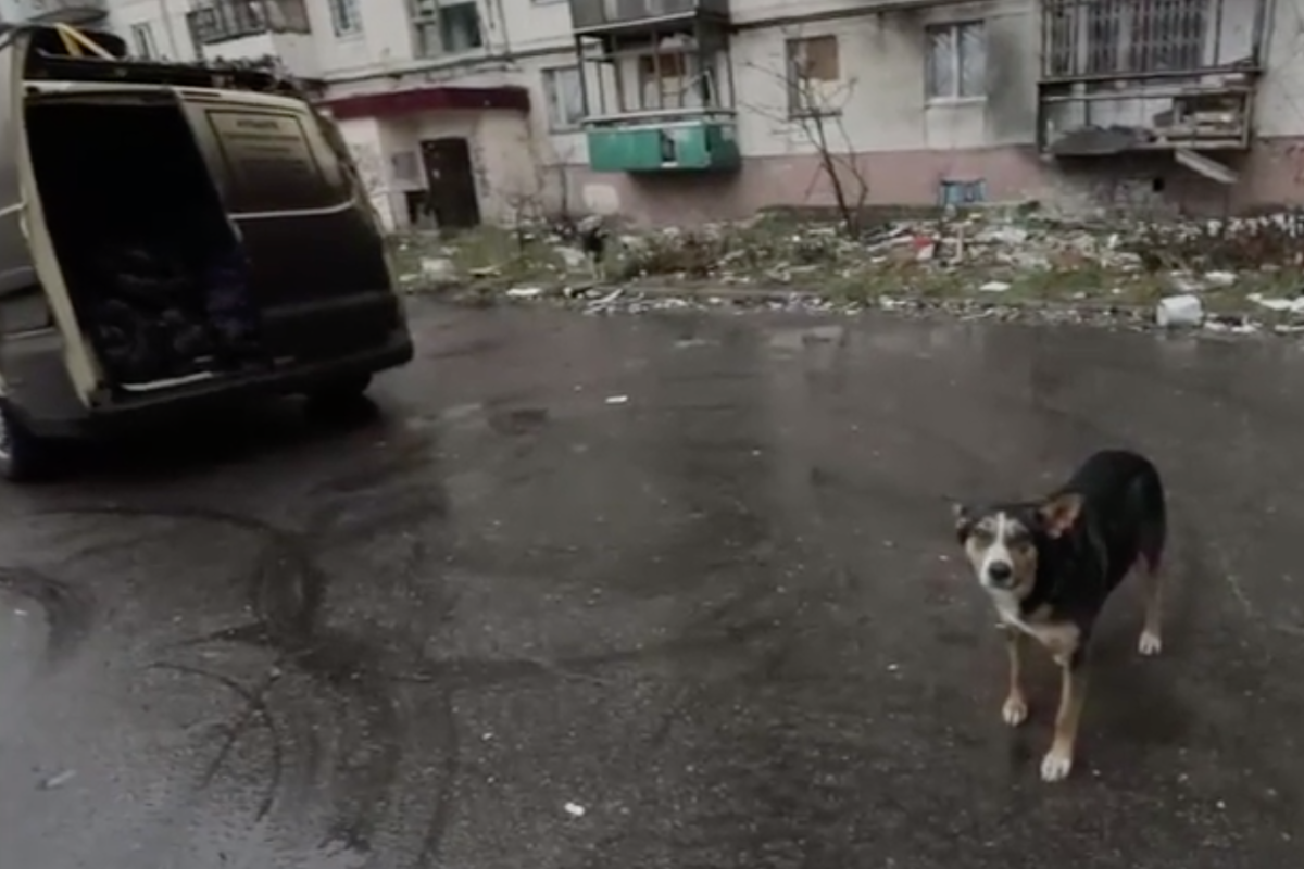 "Зате скільки нових багатих людей стало": відео зі зруйнованого Сєвєродонецька "Зате скільки нових багатих людей стало": відео зі зруйнованого Сєвєродонецька