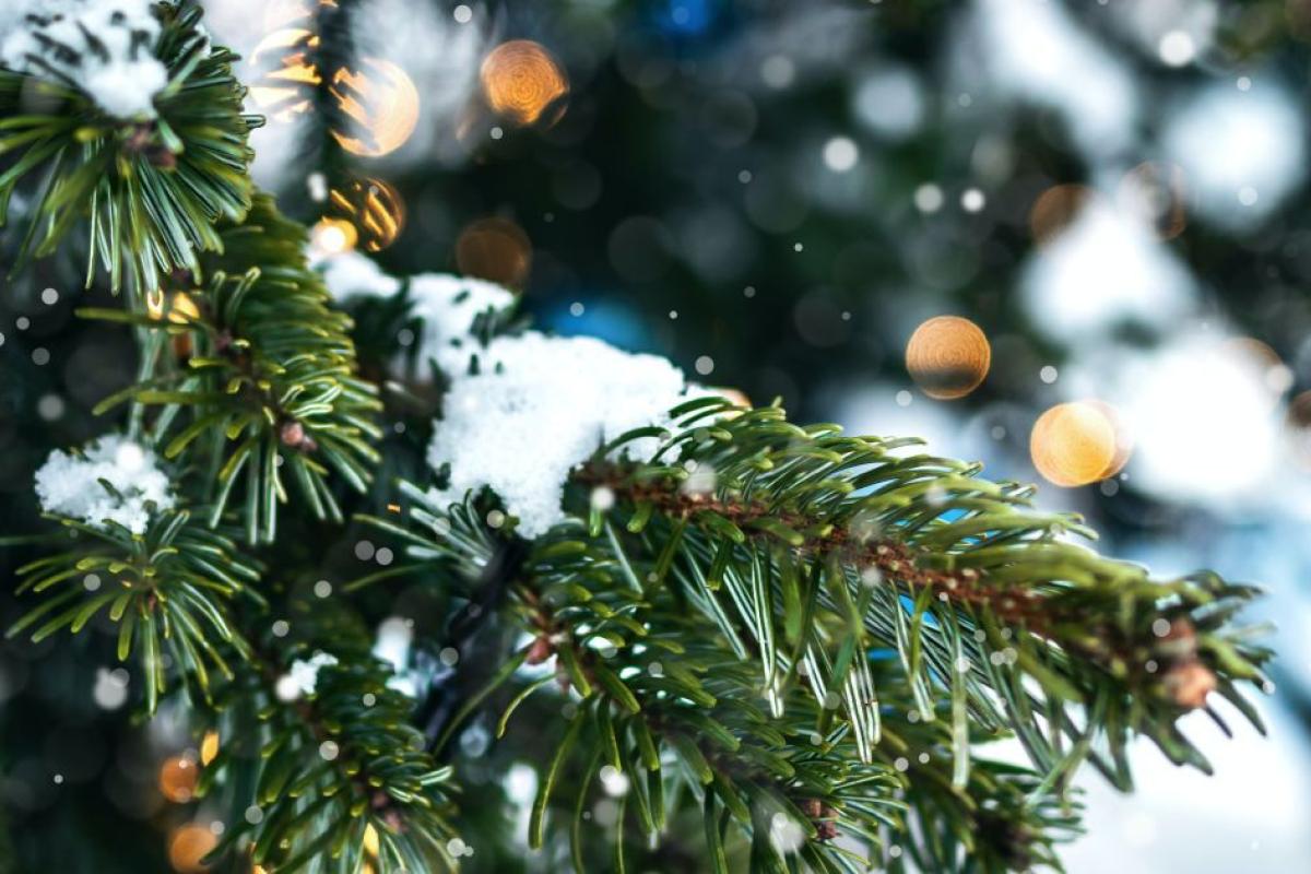 Зима закінчилася?: Українців попередили про різкі зміни погоди Зима закінчилася?: Українців попередили про різкі зміни погоди