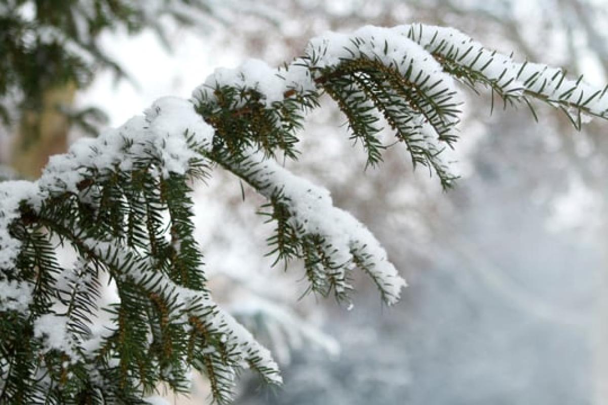 Синоптик попередила про різке похолодання в Україні Синоптик попередила про різке похолодання в Україні