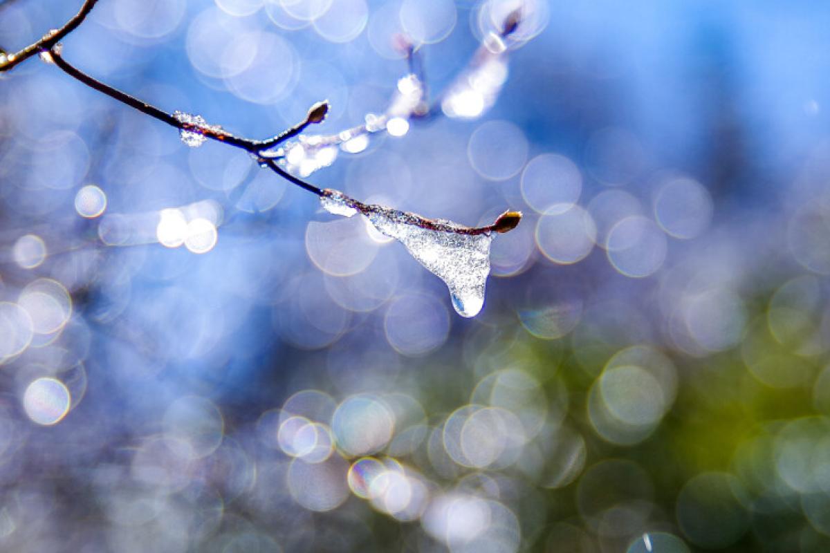 Як навесні: Україну охопить потепління, але не без опадів Як навесні: Україну охопить потепління, але не без опадів