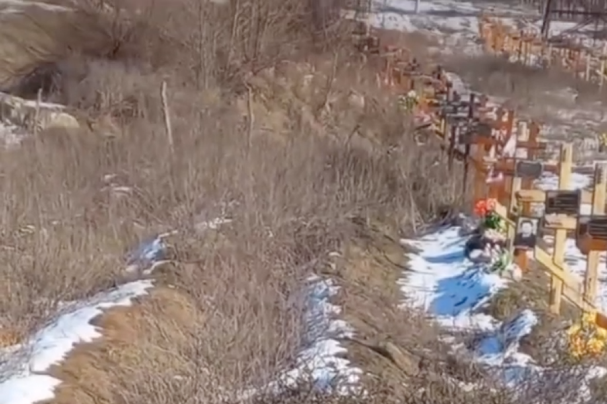 Розстріляний Сєвєродонецьк: у мережі показали, як виглядає масове поховання в районі "Лісової дачі" (відео)