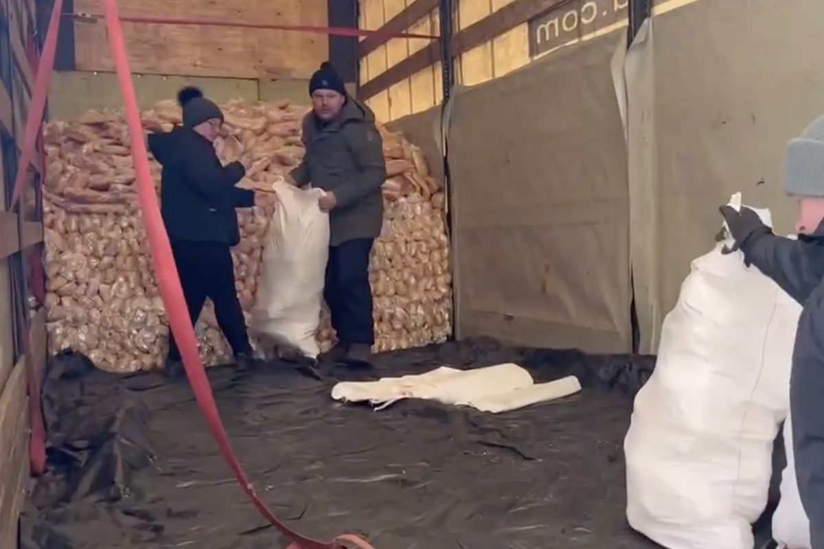 Жителям освобожденного Невского доставлен гуманитарный груз (видео)