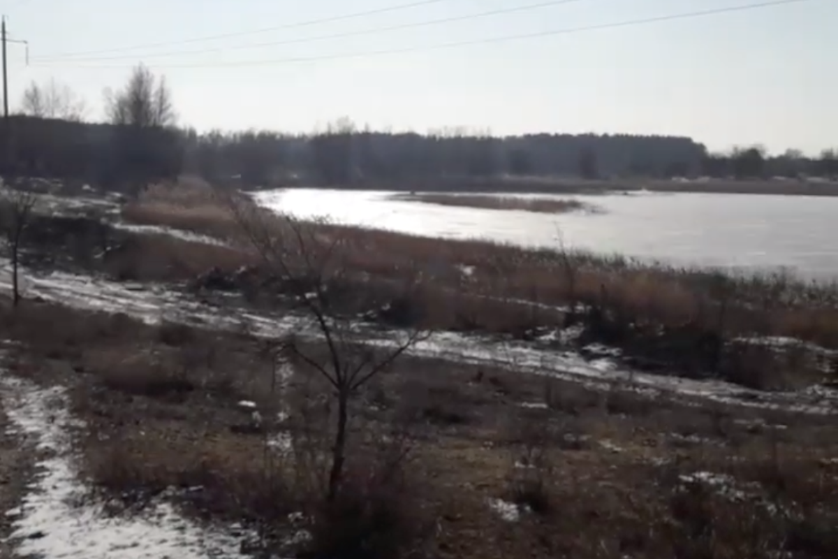 Що зараз відбувається на Чистому озері у Сєвєродонецьку - відео Що зараз відбувається на Чистому озері у Сєвєродонецьку - відео