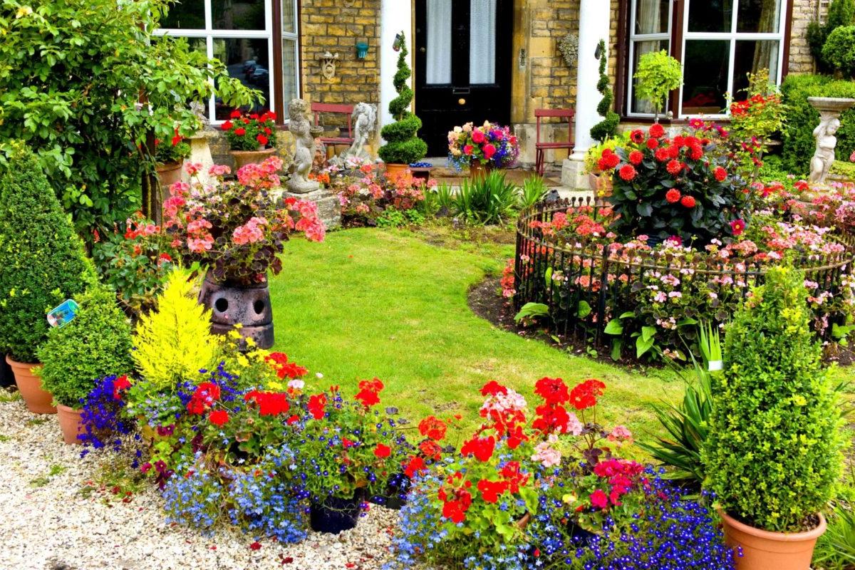 Названы 5 растений, которые обязательно стоит посадить в марте: будут радовать до морозов