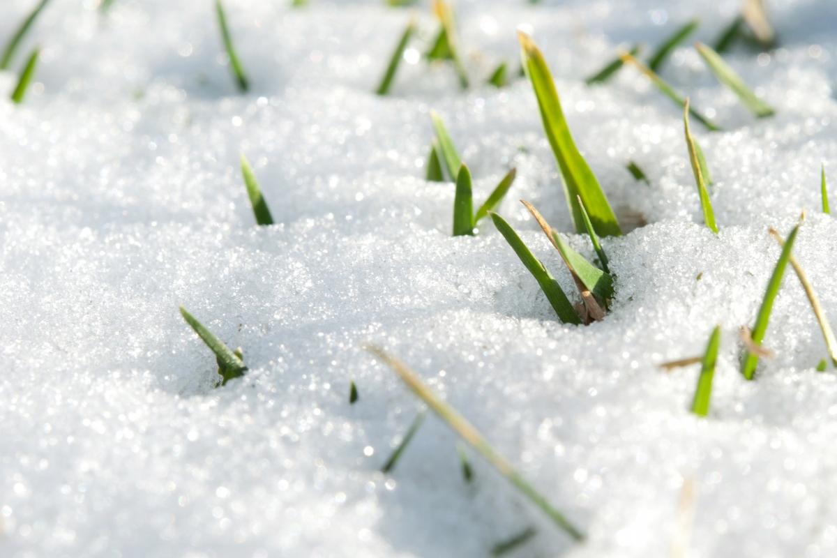 Зима повертається?: В Україну йде різке похолодання зі снігом