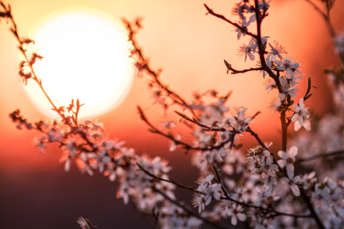 День весеннего равноденствия-2023: главные запреты и традиции День весеннего равноденствия-2023: главные запреты и традиции