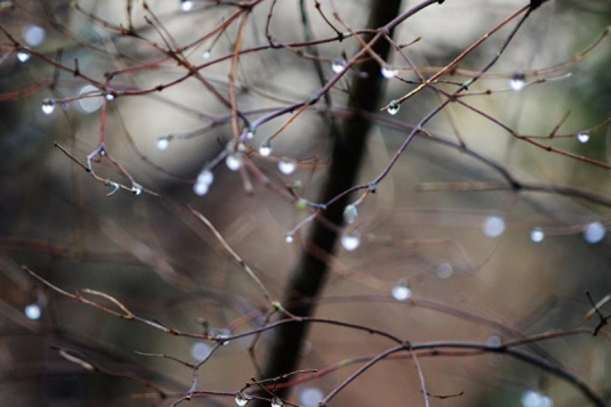 Синоптик рассказала, какой будет погода в Украине на выходных