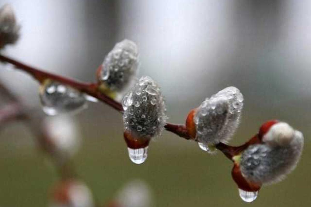 Волого та прохолодно: синоптик розповіла, які "сюрпризи" приготувала погода українцям