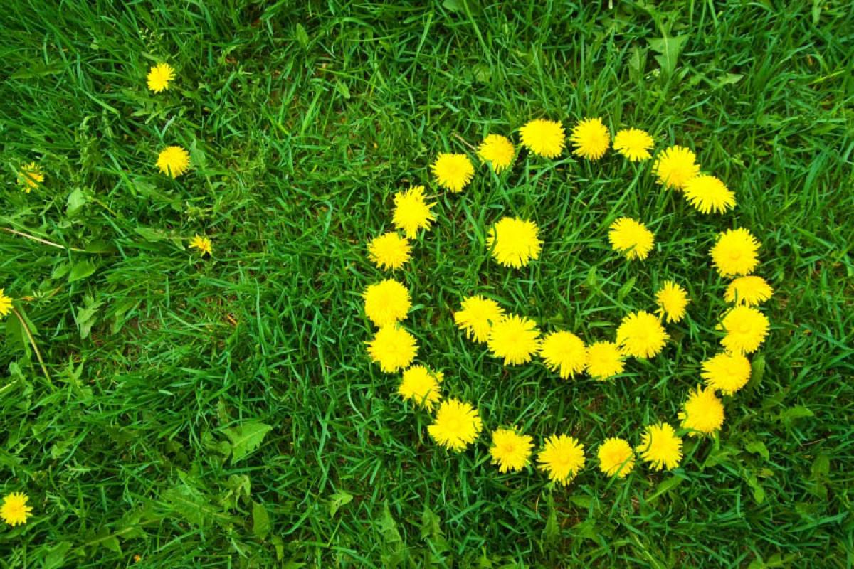 Чи будуть в українців додаткові вихідні на травневі свята Чи будуть в українців додаткові вихідні на травневі свята