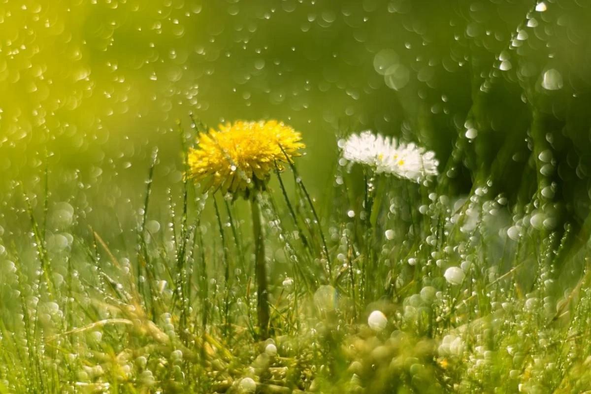 Тепло, но в одном регионе - дожди: синоптик дала прогноз погоды на завтра