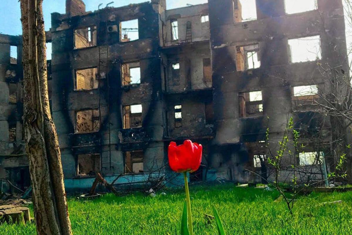 "Людям навіть їсти нічого": у мережі повідомляють про голод у Сєвєродонецьку "Людям навіть їсти нічого": у мережі повідомляють про голод у Сєвєродонецьку