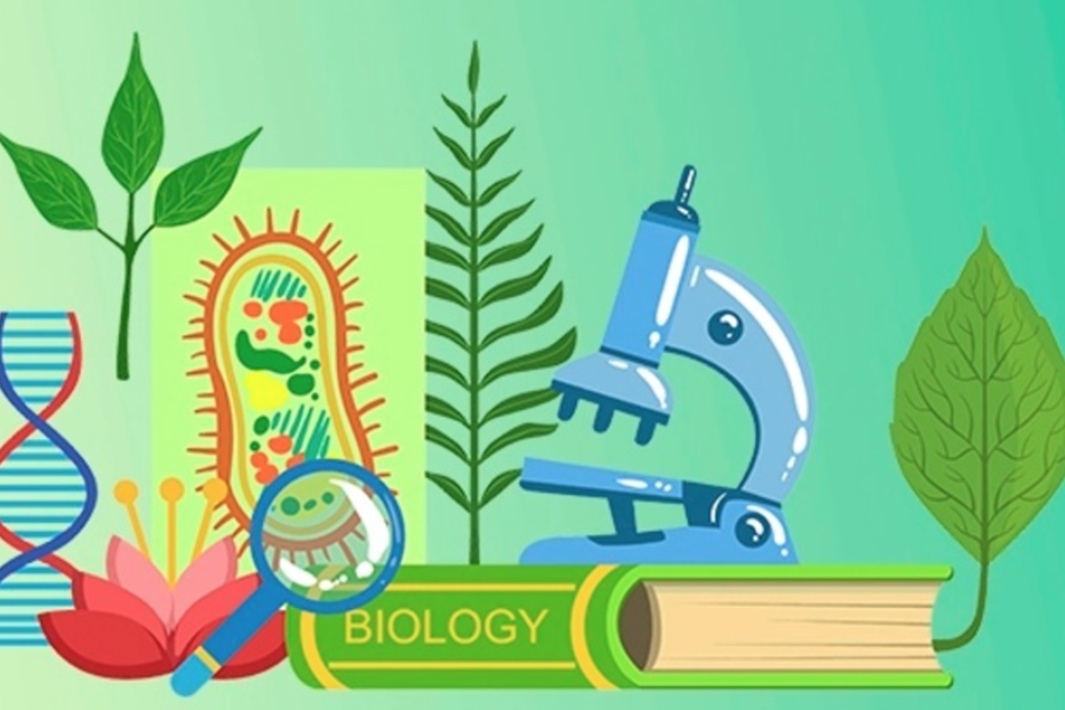 Троє учнів із Сєвєродонецька стали призерами Всеукраїнської олімпіади з біології Троє учнів із Сєвєродонецька стали призерами Всеукраїнської олімпіади з біології