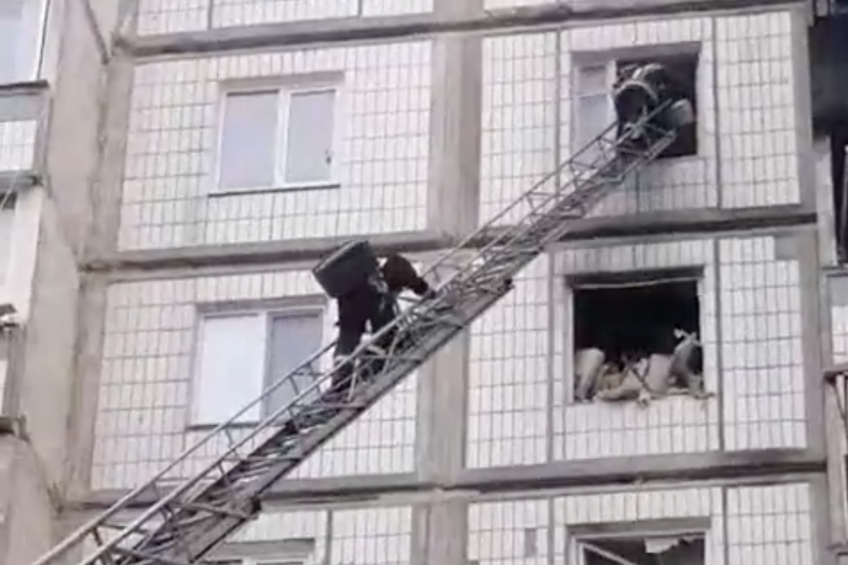 В Умани спасли кота, который почти трое суток просидел на балконе разрушенного ракетой дома - видео В Умани спасли кота, который почти трое суток просидел на балконе разрушенного ракетой дома - видео
