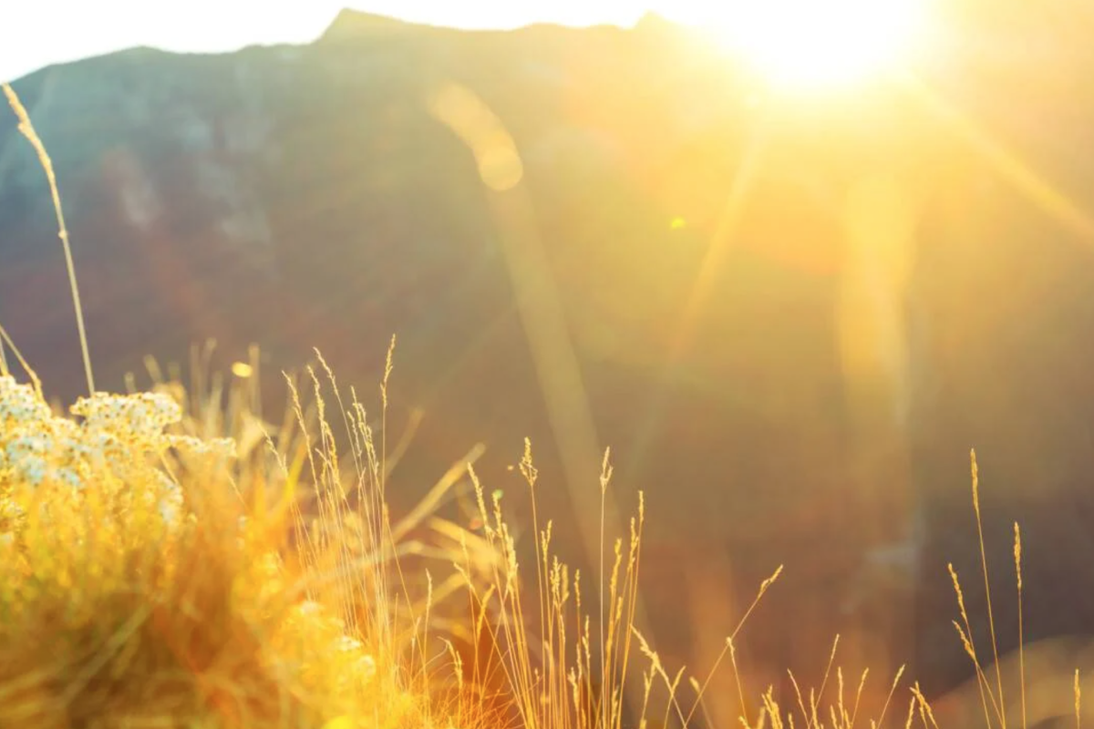 Із завтрашнього дня в Україні - спека: у ДСНС зробили попередження