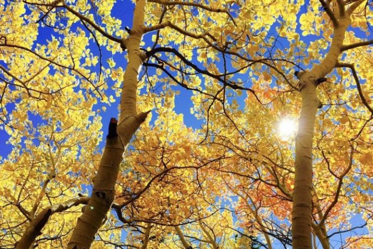 Осеннее равноденствие 2023: когда наступит, главные приметы и запреты