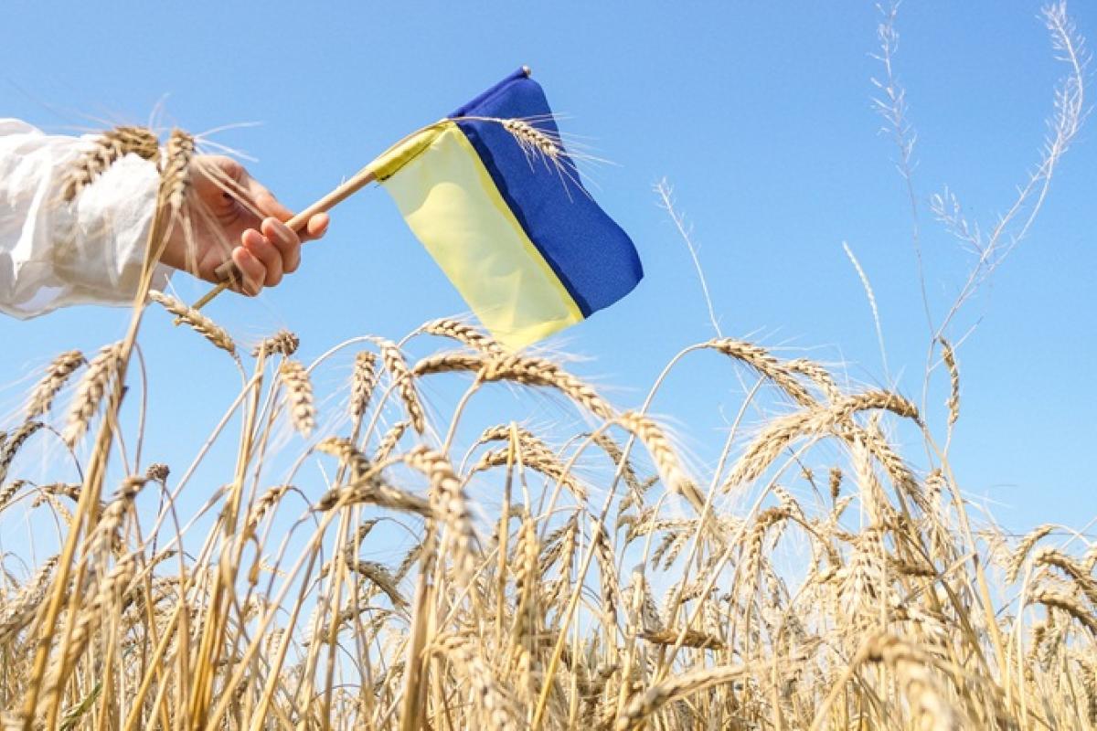 В Україні буде переглянуто систему державних свят та пам'ятних дат, - Зеленський В Україні буде переглянуто систему державних свят та пам'ятних дат, - Зеленський