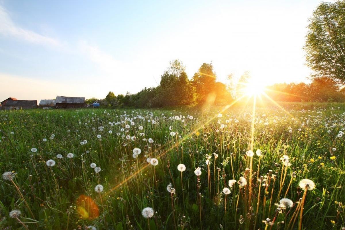 Ждать ли украинцам аномальной жары летом: прогноз