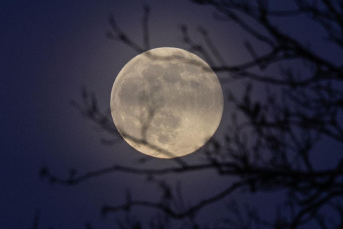 Полнолуние в апреле: чем опасен этот день и от каких дел следует воздержаться