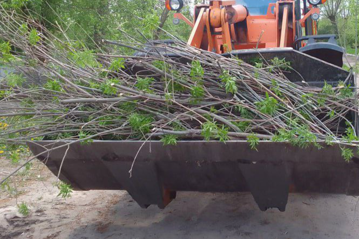 "Уборка" в Лисичанске: в сети заметили кое-что странное на фото
