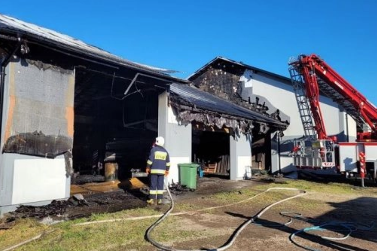 У Польщі на фермі жорстоко вбили українця: подробиці інциденту У Польщі на фермі жорстоко вбили українця: подробиці інциденту