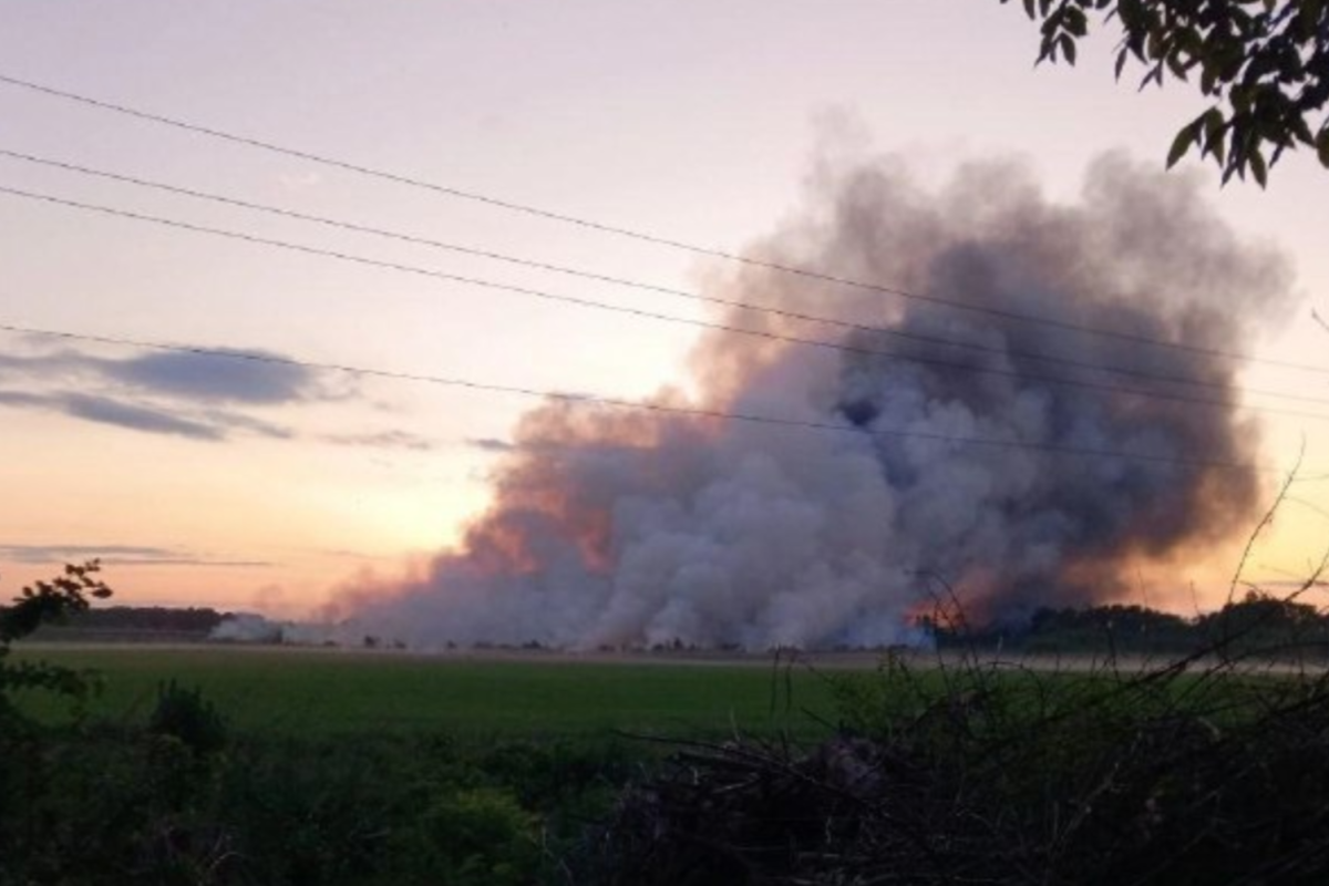 Росіяни не здатні захистити свої військові об'єкти на Луганщині: партизани про нещодавні "прильоти" у регіоні Росіяни не здатні захистити свої військові об'єкти на Луганщині: партизани про нещодавні "прильоти" у регіоні