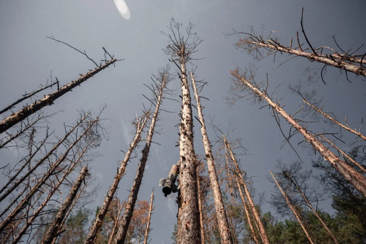 Екологи порахували, яких збитків завдала російська армія навколишньому середовищу Луганщини Екологи порахували, яких збитків завдала російська армія навколишньому середовищу Луганщини