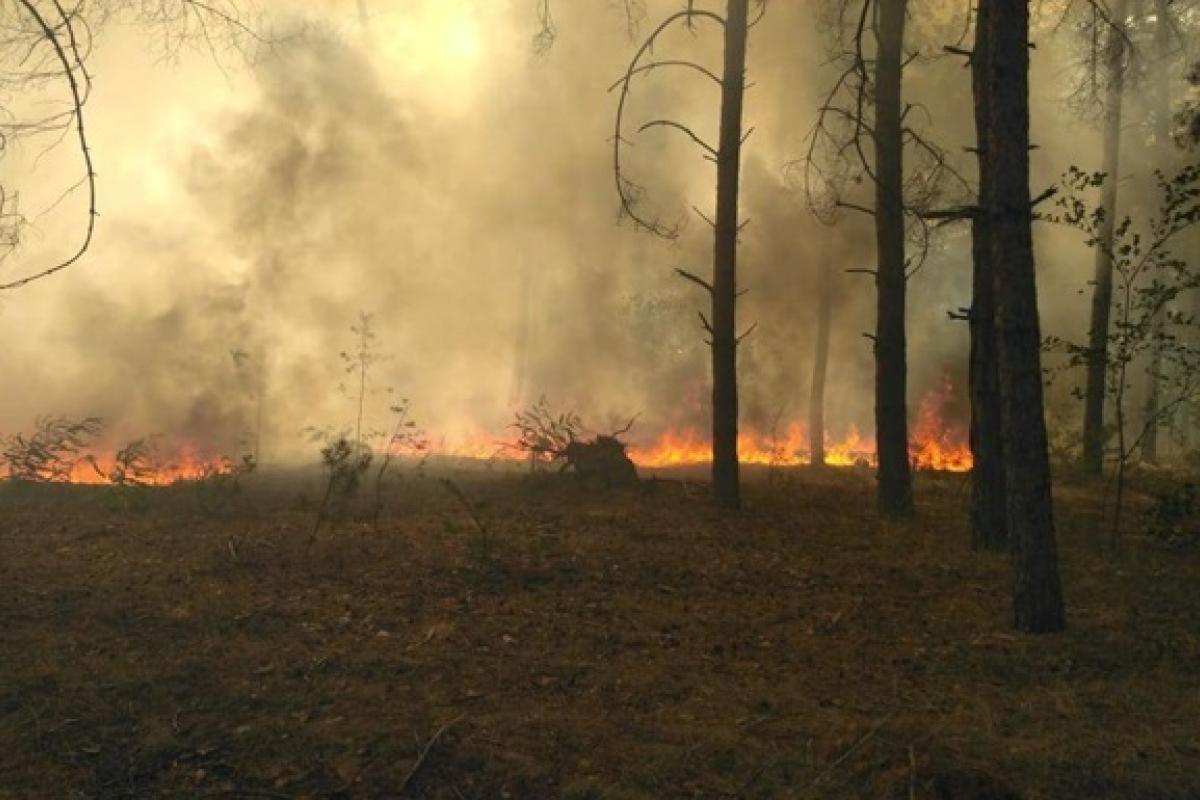 Чорнобильська зона відчуження охоплена вогнем: чи є загроза радіації Чорнобильська зона відчуження охоплена вогнем: чи є загроза радіації