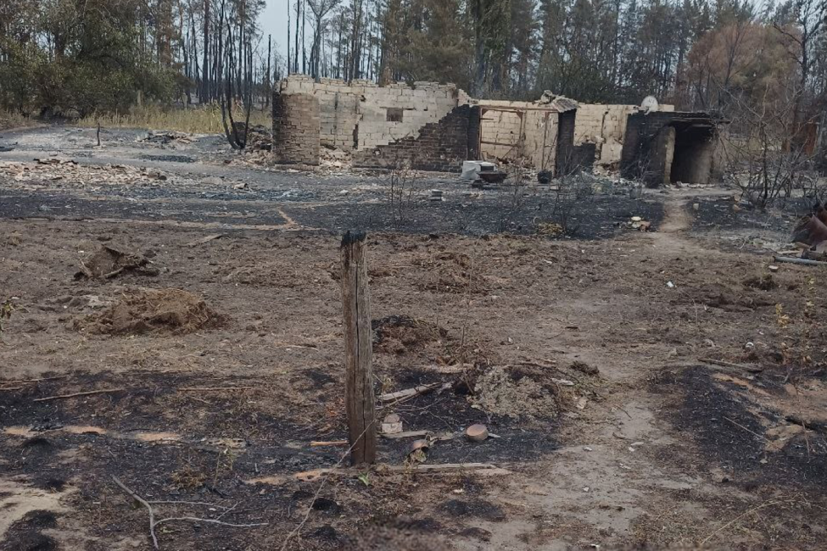 "Чому не пишете про Шедрищеве?": як "адміністрація" Сєвєродонецька реагує на звернення мешканців селища, що постраждало від пожеж "Чому не пишете про Шедрищеве?": як "адміністрація" Сєвєродонецька реагує на звернення мешканців селища, що постраждало від пожеж