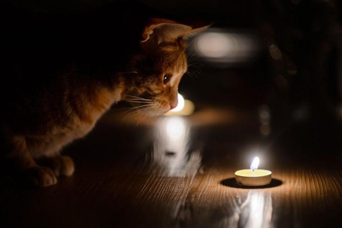 З понеділка повернуться графіки відключення світла?: Що кажуть енергетики З понеділка повернуться графіки відключення світла?: Що кажуть енергетики