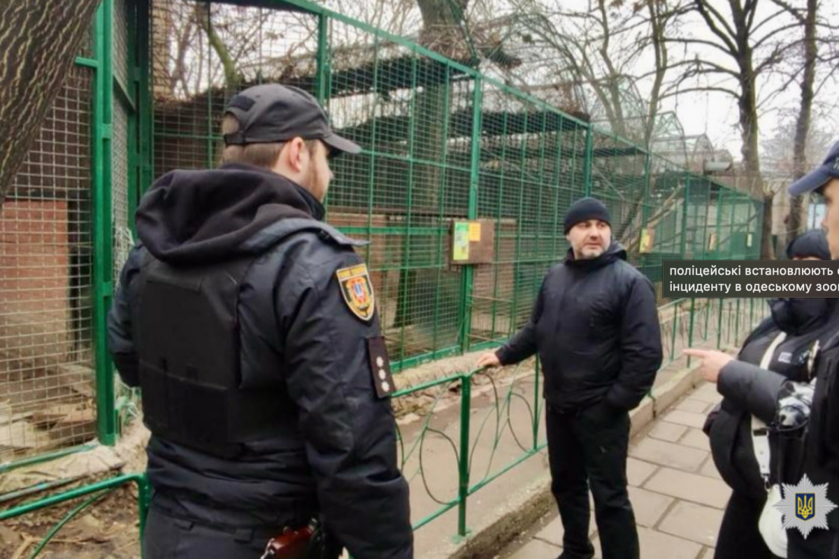 леопард напал на человека