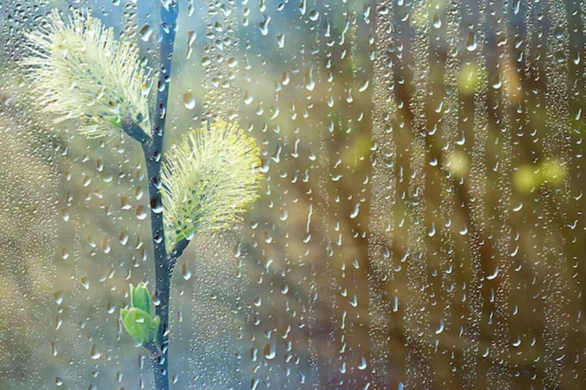 прогноз погоды