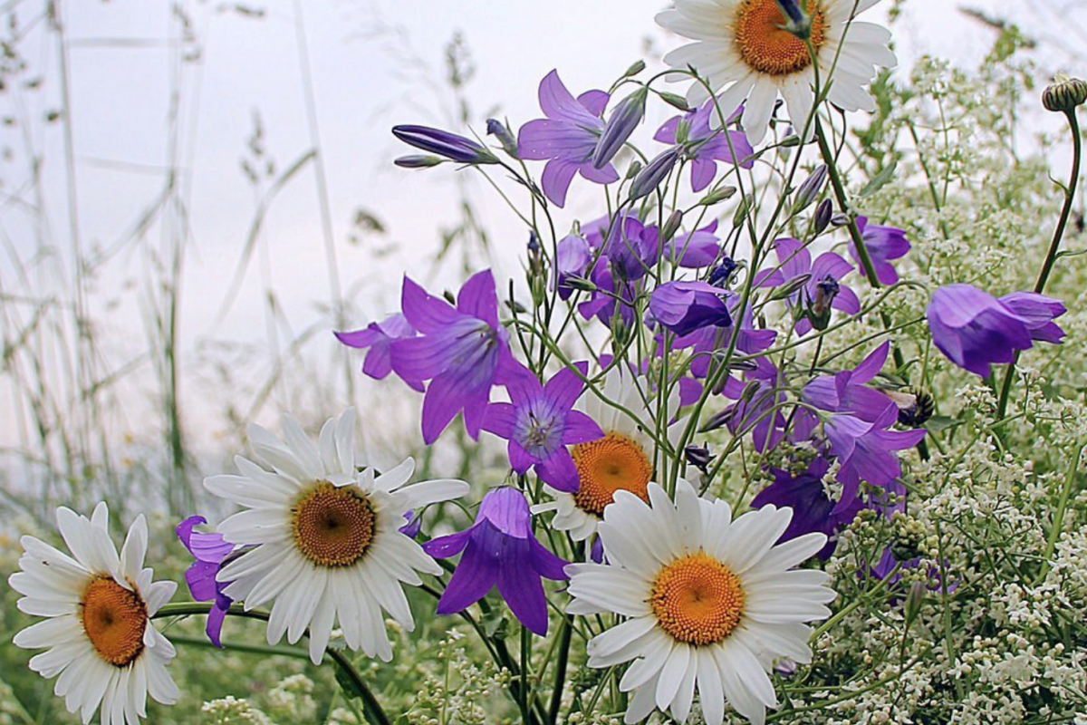 прогноз погоды