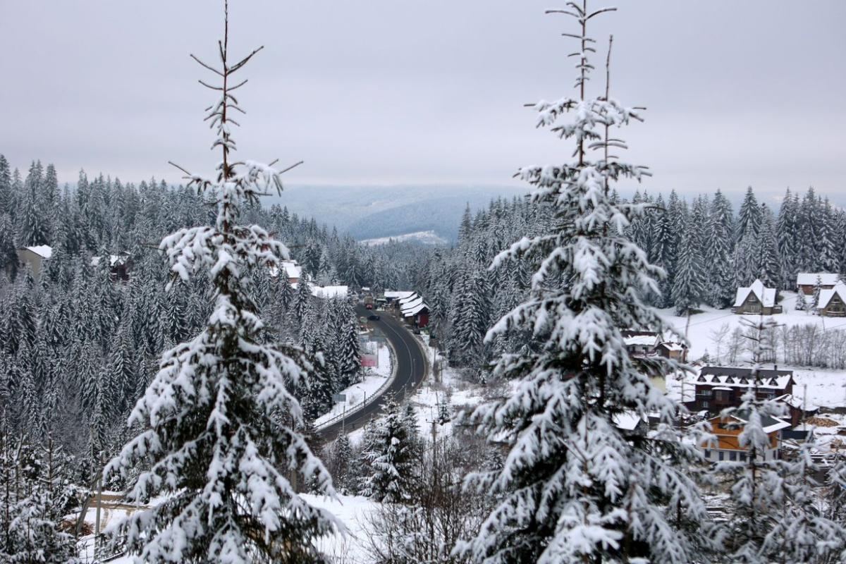 снег в карпатах