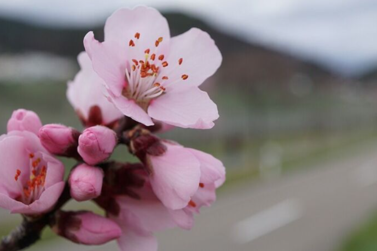 До 24 градусів тепла, але є нюанс: синоптики дали прогноз погоди на суботу, 30 березня До 24 градусів тепла, але є нюанс: синоптики дали прогноз погоди на суботу, 30 березня