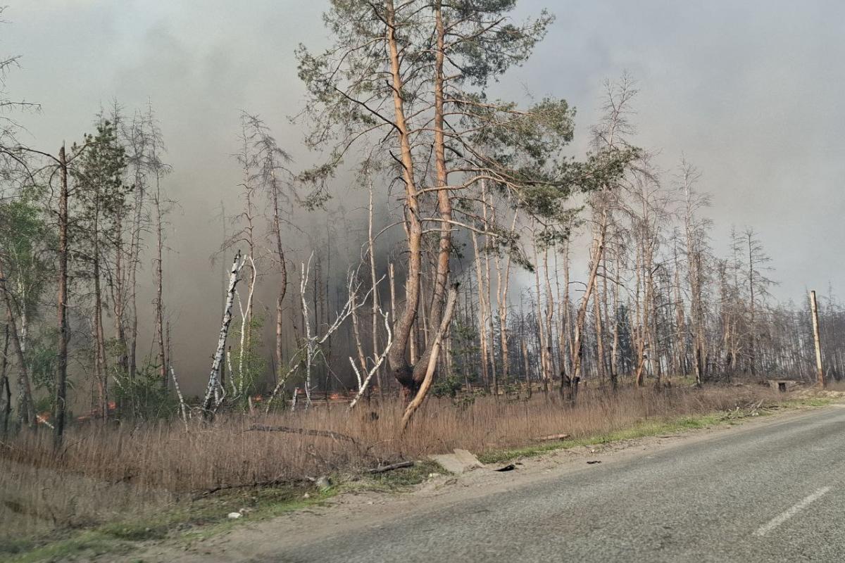 Пожежа поблизу Сєвєродонецька, яка розпочалась 5 травня, дісталася до Метьолкіного: що відомо Пожежа поблизу Сєвєродонецька, яка розпочалась 5 травня, дісталася до Метьолкіного: що відомо