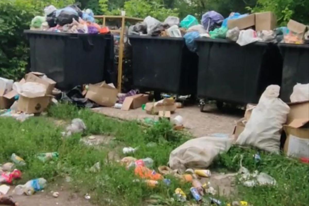 Тимчасово "звільнена" Кремінна на Луганщині потопає у смітті - відео Тимчасово "звільнена" Кремінна на Луганщині потопає у смітті - відео