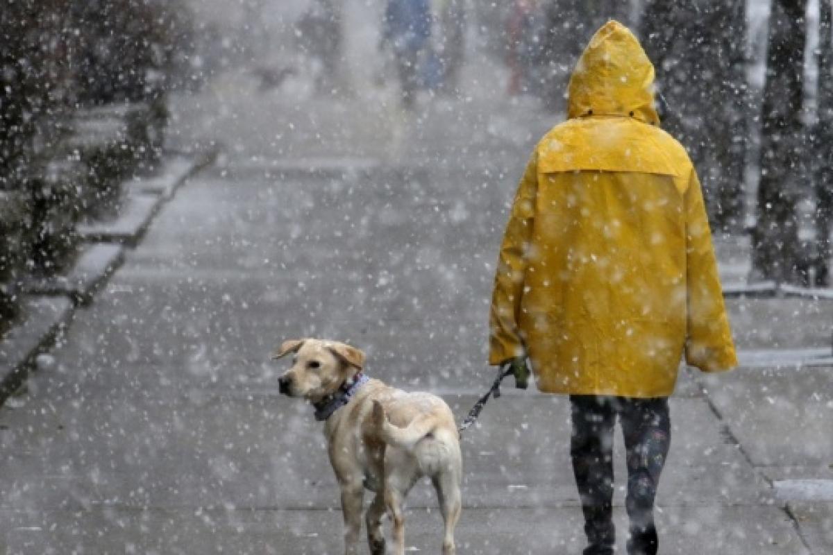 В Україні на Миколая очікується волога та хмарна погода із опадами В Україні на Миколая очікується волога та хмарна погода із опадами
